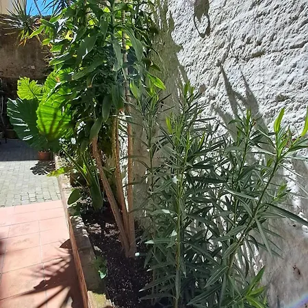Tatil Evi A Due Passi Dal Lungomare Napoli